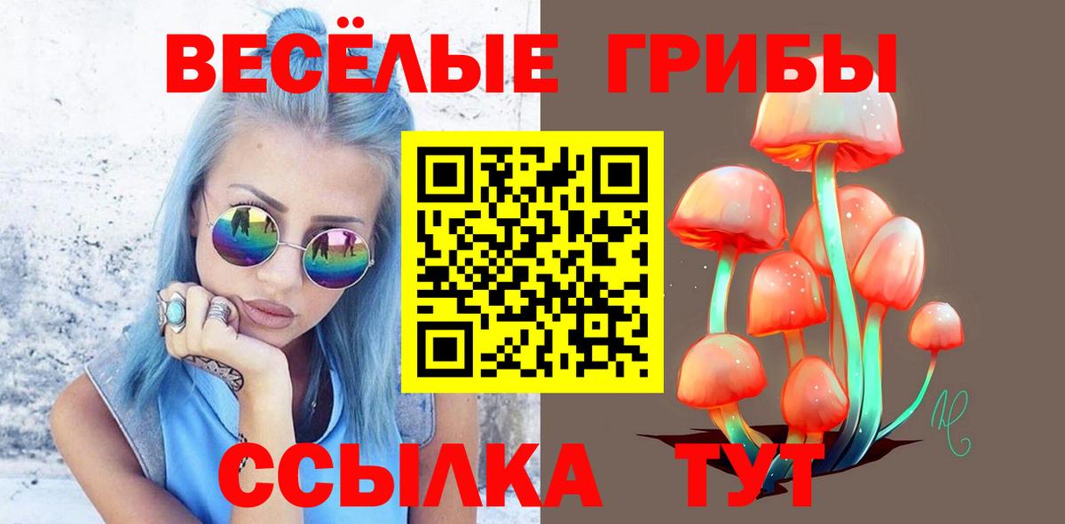Ростов Великий  Псилоцибиновые грибы Magic Shrooms  Вход с VPN 